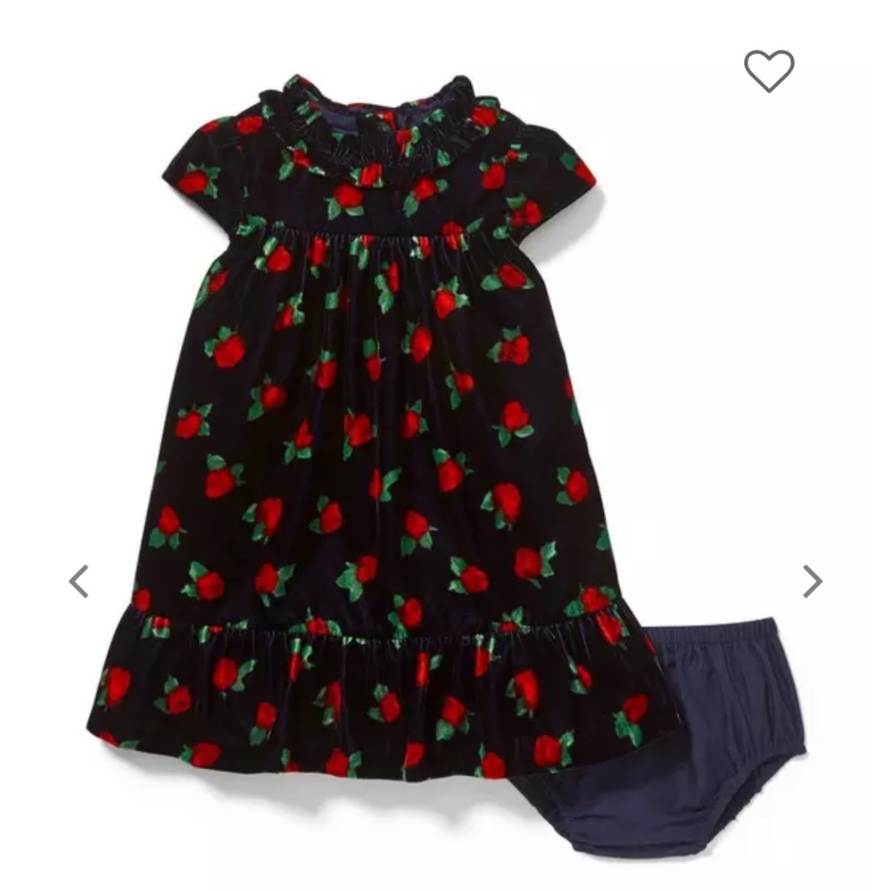 Janie and Jack Velvet Dress with Red and Green Floral Accents - Picture 1 of 6